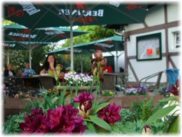 BookNoFees: レストラン – Restaurant Blattlaus – Berlin – Restaurant Blattlaus、写真3
