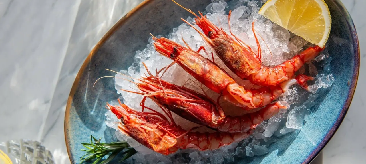 BookNoFees: レストラン – Cucina Mia – Warsaw – Cucina Mia、写真1