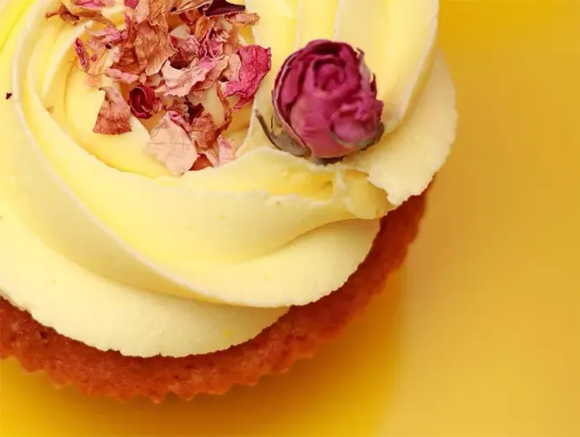 BookNoFees: ベーカリー – Take a Cake – Sofia – Take a Cake、写真3