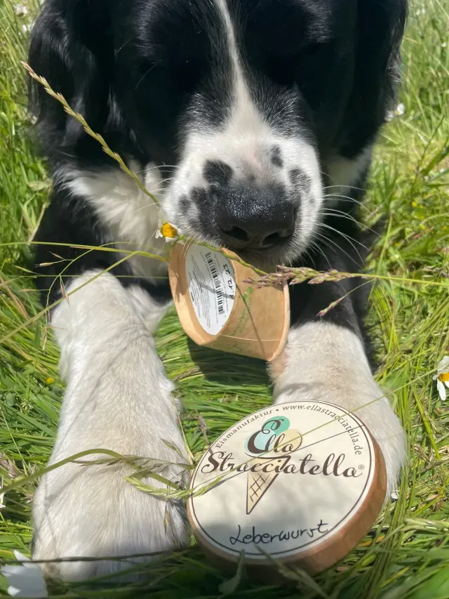 BookNoFees: アイスクリーム – Ella Stracciatella Eismanufaktur – Iserlohn – Ella Stracciatella Eismanufaktur、写真3